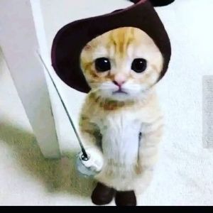 Meet your Posher, Aiden